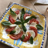 Rice mozzarella caprese at Il Caminetto Terra Mia in Linz