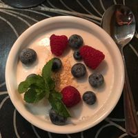 Coconut pannacotta with fresh berries at Magnolia in Stockholm