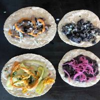 Hongos, Flor de calabaza y Huitlacoche at Quecas El Comal in Cabo San Lucas