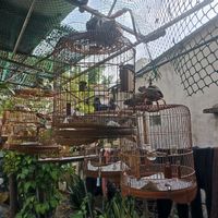  at Quan Chay - Cua Dai in Hoi An