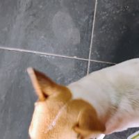  at Quan Chay - Cua Dai in Hoi An