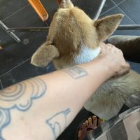   at Quan Chay - Cua Dai in Hoi An