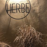Herbe beautiful logo at Herbe in Reggio Emilia