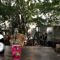 Indoor garden at Café Bubu in Leipzig