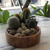 Table Decor  at Manjerica in Lisbon