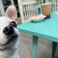   at Mindful Baking Kitchen & Cafe in Chicago