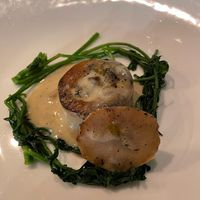  at Antonio Chiodi Latini in Turin