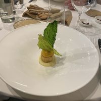   at Antonio Chiodi Latini in Turin