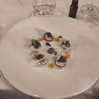 Symphony for your taste buds at Antonio Chiodi Latini in Turin