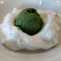 Star anise and spirulina gelato on foam at Antonio Chiodi Latini in Turin