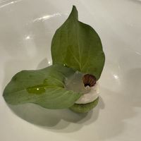   at Antonio Chiodi Latini in Turin