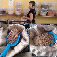 Ecological and local fruit and vegetables. Fair and local trade. No chemistry.
Bulk sale at Alborinco in Gran Canaria