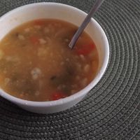 Zeleninova polievka s haluskami at Vegan Pub in Bratislava