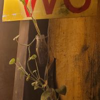 Entertaining signages at Hidden Gem Cafe in Hanoi