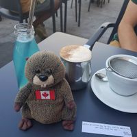 Blue spirulina lemonade and chai latte at Nola Kitchen in Porto
