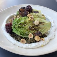 Boho salad with grilled lettuce, lentils, nuts and blackberries   at Nola Kitchen in Porto