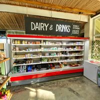 Inside store at Green World Store in Santa Teresa