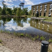   at Tibits in Darmstadt