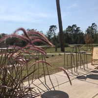 Terrace  at Tibits in Darmstadt