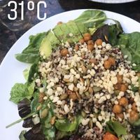 one of their seasonal bowls   at Earls Kitchen + Bar - 23rd St NE in Calgary