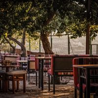 Seating outside at Jala Jungle in Beit Jala
