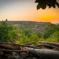 Amazing sunset view at Jala Jungle in Beit Jala