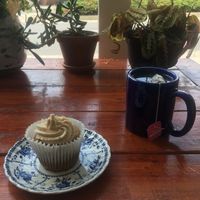 vegan almond butter cupcake at Farm to Face Cafe in Baltimore