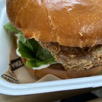 The Blindboy  at Dirty Kitch in Coventry