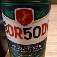 Bier at Las Vegan's Bar in Budapest