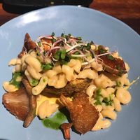 Mac and cheese with oyster mushrooms and avocado at Dumbo in Rotterdam