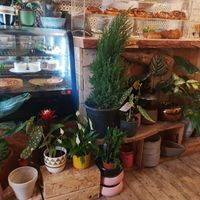 Cafe interior at Shizen in Tel Aviv