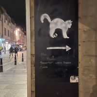 🐈‍⬛ at The Alleycat in Inverness