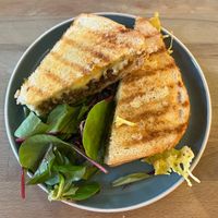   at The Alleycat in Inverness