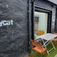  at The Alleycat in Inverness