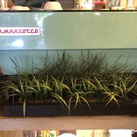 Top of the line coffee machine  at Coffee Gallery in Haleiwa