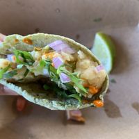 Hummus taco  at Hunger Street Tacos in Winter Park