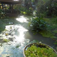 Beach Road entrance.  at Garden Cafe in Pattaya