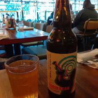 Vegan craft lager 🍻 #Veganuary at Turtle Bay in Middlesbrough