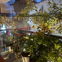 nice atmosphere  at Pumpkin Tales in Chennai