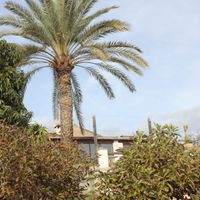  at Finca Manantial de Luz in Almayate Alto