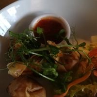 Mango and tomato wontons.  at The White Hart in Melksham