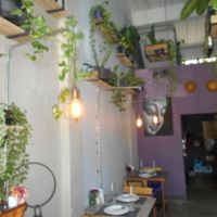 Interior at MAYs in Pattaya