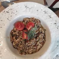  at La Casa Viva in Valencia