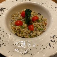  at La Casa Viva in Valencia