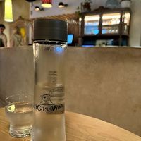  at La Casa Viva in Valencia