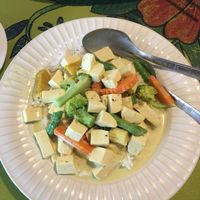 Green curry  at Pure Joy in Koh Phangan