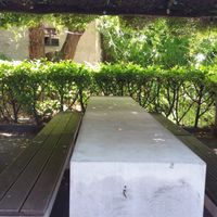 Restaurant garden at Grotto Valletta in Lugano