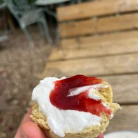   at Kitnors in Minehead