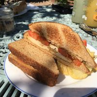Smoked tofu (locally made) w/ vegan pesto & tomato 🤤 at Kitnors in Minehead