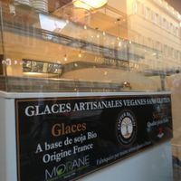 Gelato at Copper Branch in Nice